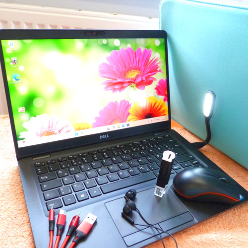 Dell 5300 power netbook - dell,